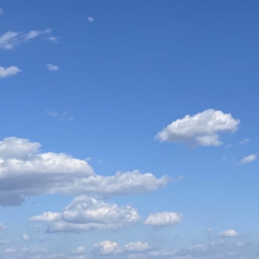 LCインナーボール｜膣トレは何のために？便秘解消？生理痛軽減？骨盤底筋を強化？